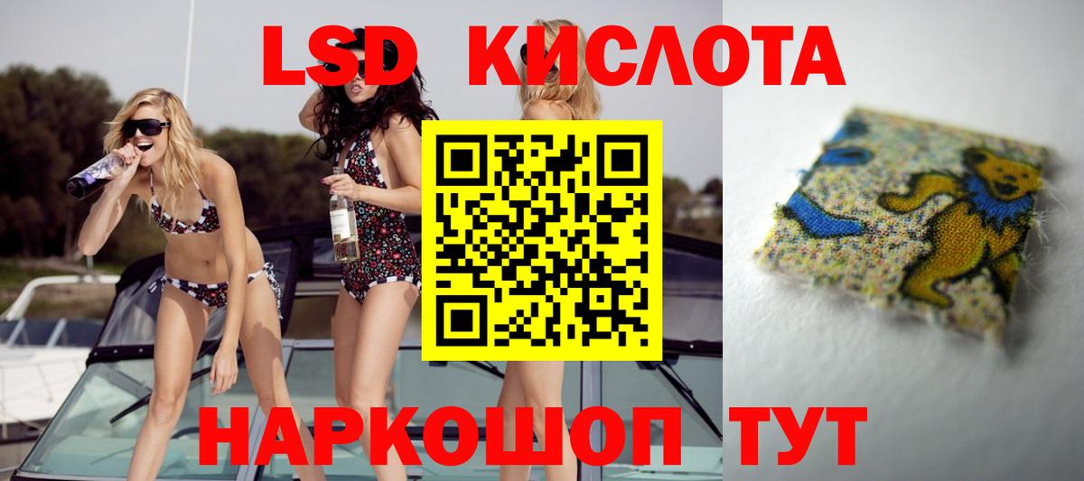 Галлюциногенные грибы Пенза