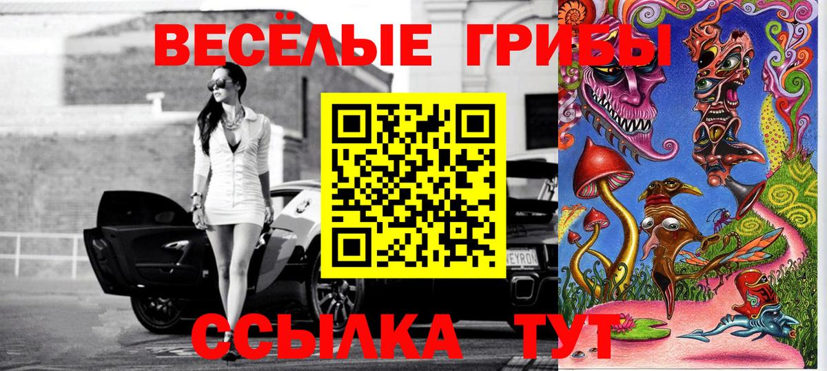 Псилоцибиновые грибы прущие грибы Пенза