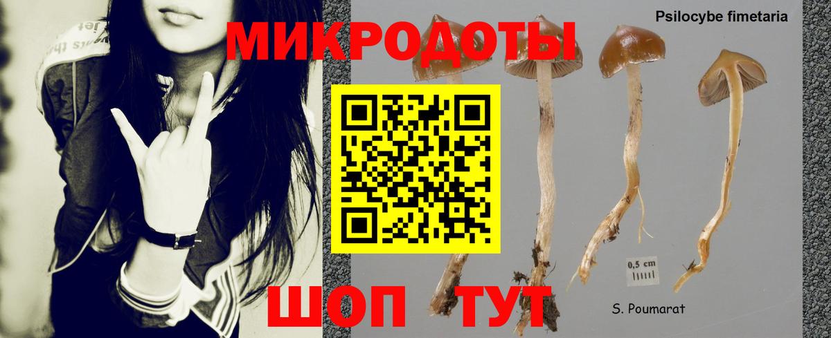 Псилоцибиновые грибы GOLDEN TEACHER  купить наркотики сайты  Пенза  Вход с VPN 